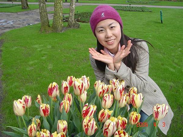 第十一天：庫肯霍夫鬱金香花園 Keukenhof