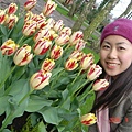 第十一天：庫肯霍夫鬱金香花園 Keukenhof