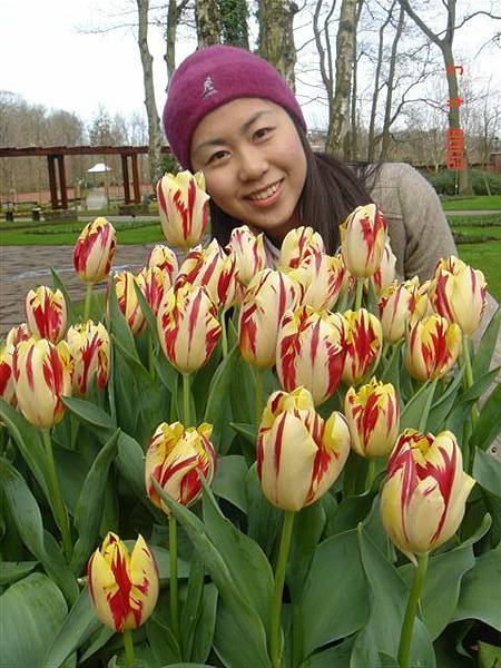 第十一天：庫肯霍夫鬱金香花園 Keukenhof