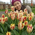 第十一天：庫肯霍夫鬱金香花園 Keukenhof