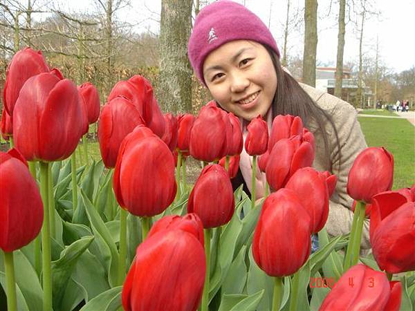 第十一天：庫肯霍夫鬱金香花園 Keukenhof