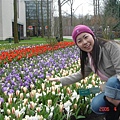 第十一天：庫肯霍夫鬱金香花園 Keukenhof