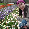 第十一天：庫肯霍夫鬱金香花園 Keukenhof