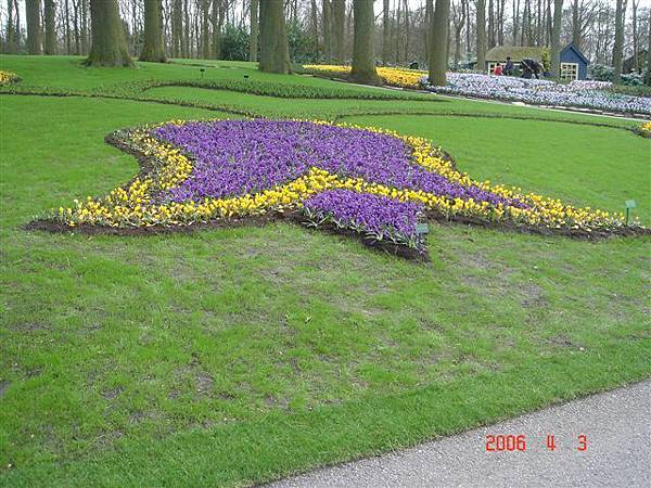 第十一天：庫肯霍夫鬱金香花園 Keukenhof