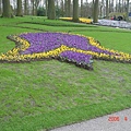 第十一天：庫肯霍夫鬱金香花園 Keukenhof