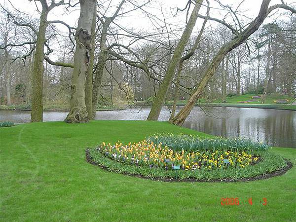 第十一天：庫肯霍夫鬱金香花園 Keukenhof