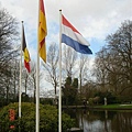 第十一天：庫肯霍夫鬱金香花園 Keukenhof