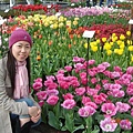 第十一天：庫肯霍夫鬱金香花園 Keukenhof