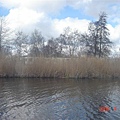 第十二天：羊角村 Giethoorn