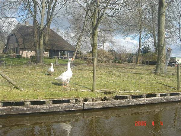 第十二天：羊角村 Giethoorn