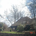 第十二天：羊角村 Giethoorn