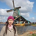 第十三天：風車村 Zaanse Schans