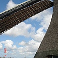 第十三天：風車村 Zaanse Schans