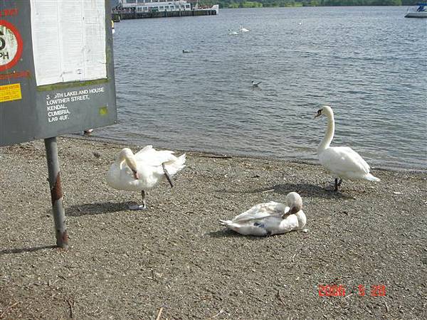 Waterhead Piers