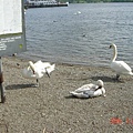 Waterhead Piers