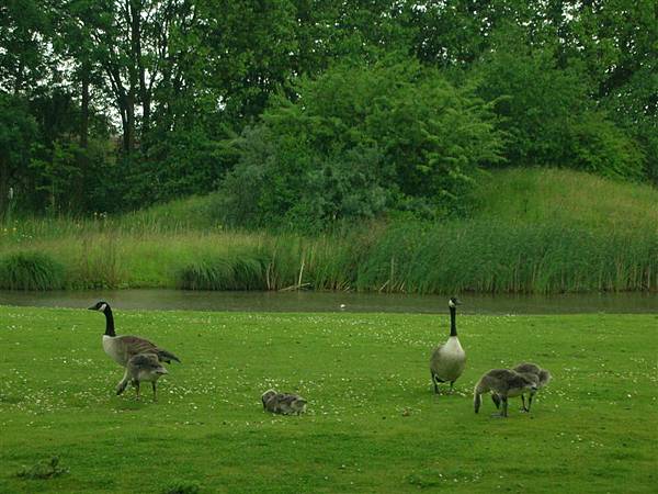 Jubilee Campus