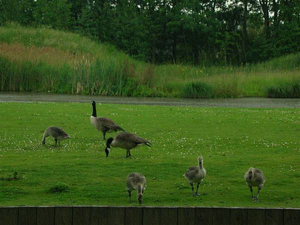 Jubilee Campus