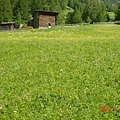 Zermatt (15).JPG