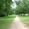 Wollaton Park 