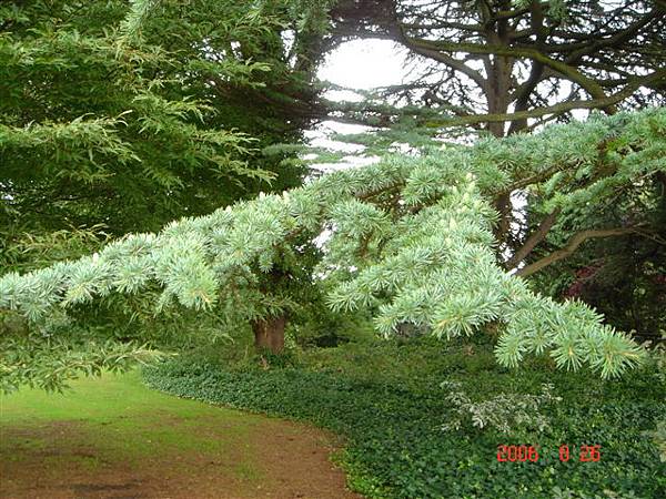 Wollaton Park