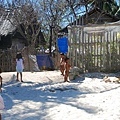 2009.01.28 長灘島 Boracay (162).jpg