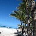 2009.01.29 長灘島 Boracay (16).jpg