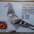 2008-春-大新莊38位