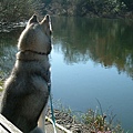 River@waikato