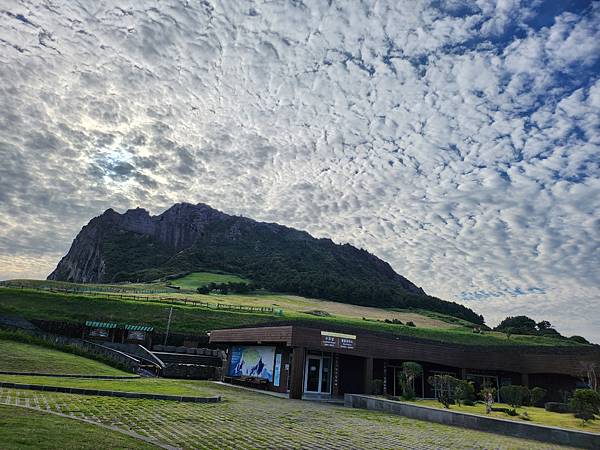 濟州島自駕親子遊-開車環牛島~