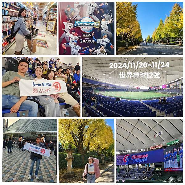 世界棒球12強決賽-東京巨蛋TEAM TAIWAN