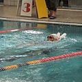 2009假期盃游泳錦標賽-074.JPG