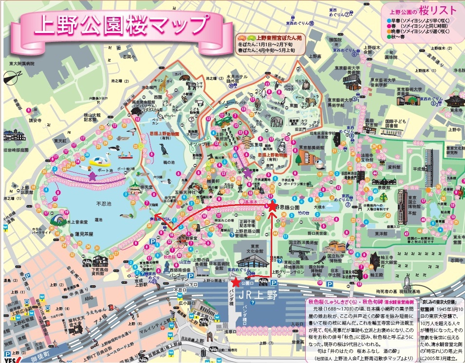 上野櫻花MAP