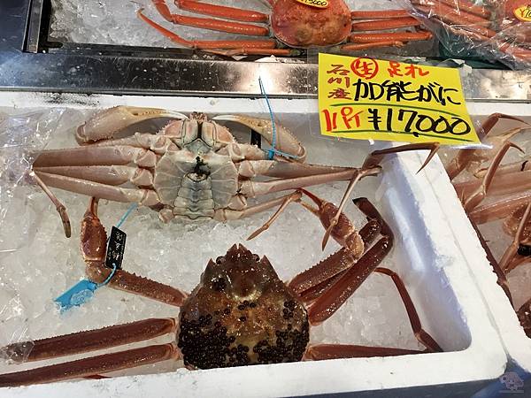 北陸專欄 能登食祭市場日本海的便宜新鮮漁獲自己動手海鮮bbq超有趣 嘻子醬困在日本時 痞客邦 北陸專欄 能登食祭市場日本海的便宜新鮮漁獲自己動手海鮮bbq超有趣 嘻子醬困在日本時 痞客邦