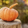 pumpkin-4454745_1920.jpg