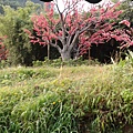 20141027_085042.jpg