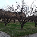 20150409_175517.jpg