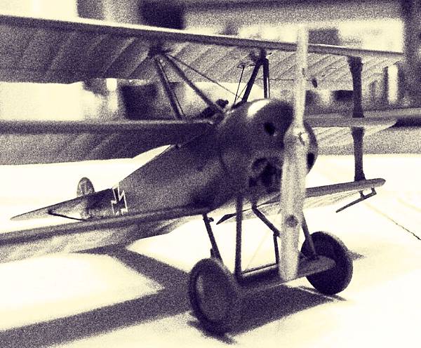 IMG_1419.JPG IMG_1419.JPG