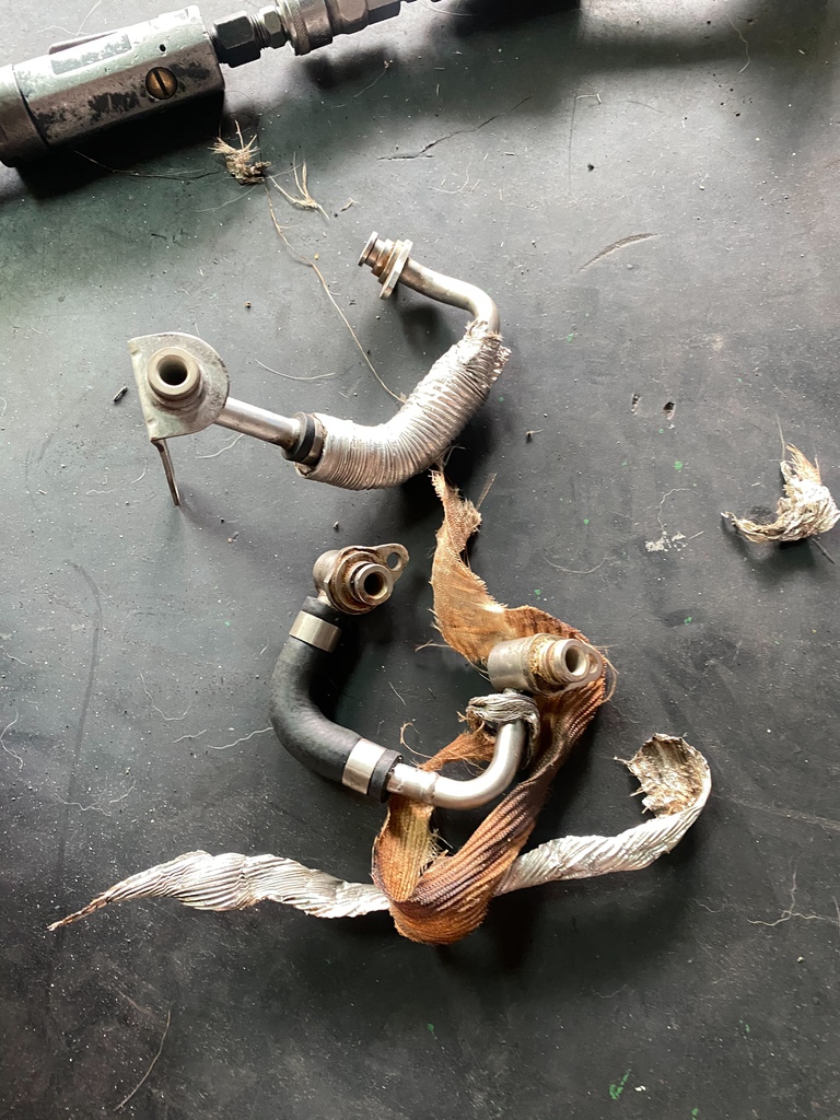 S__13803701.jpg S__13803701.jpg