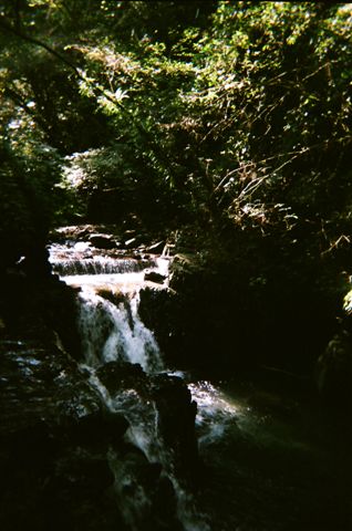 山林間的溪流