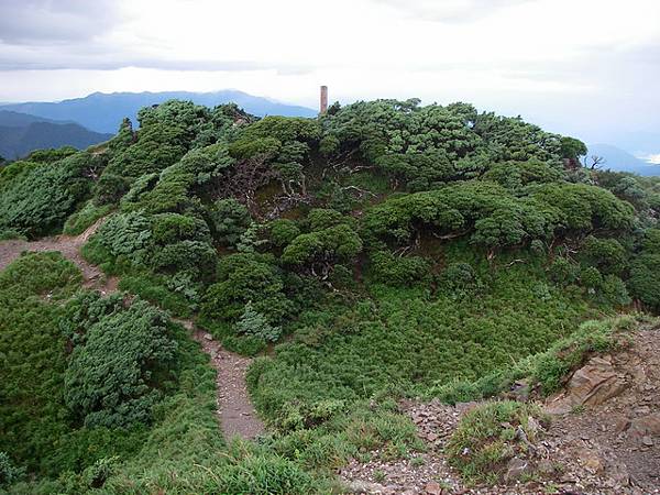 合歡東峰頂