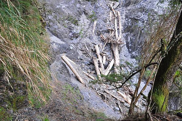 前去大崩塌處取水