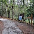 桃山登山口