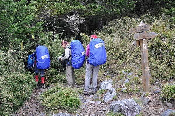 取左往新達山屋