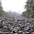 池有第一登山口路徑