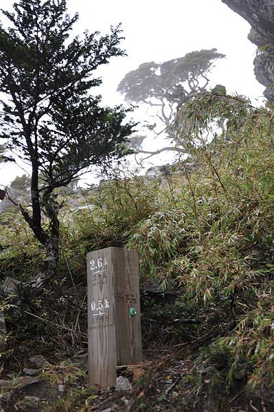 三叉營地到池有登山口0.5K