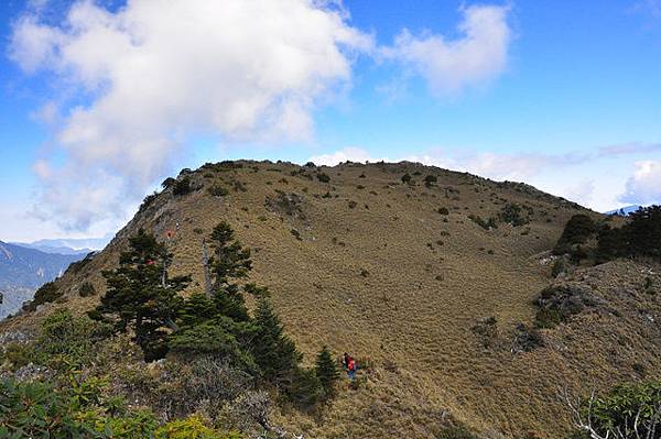 盆駒南峰