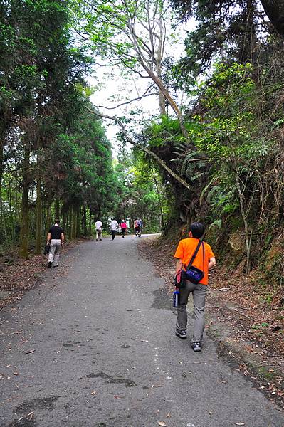 一路都是柏油路