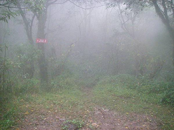 鞍部叉路口，左下滿月圓森林遊樂區