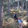 陡上八通關山其實有點累