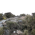 丹大山3325m，無基點，此行第一座百岳